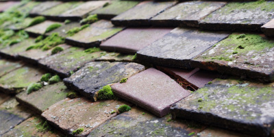 Hadstock roof repair costs